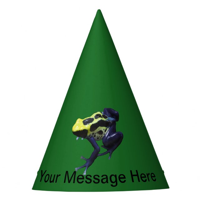 Poison Dart Frog Party Hat (Front)