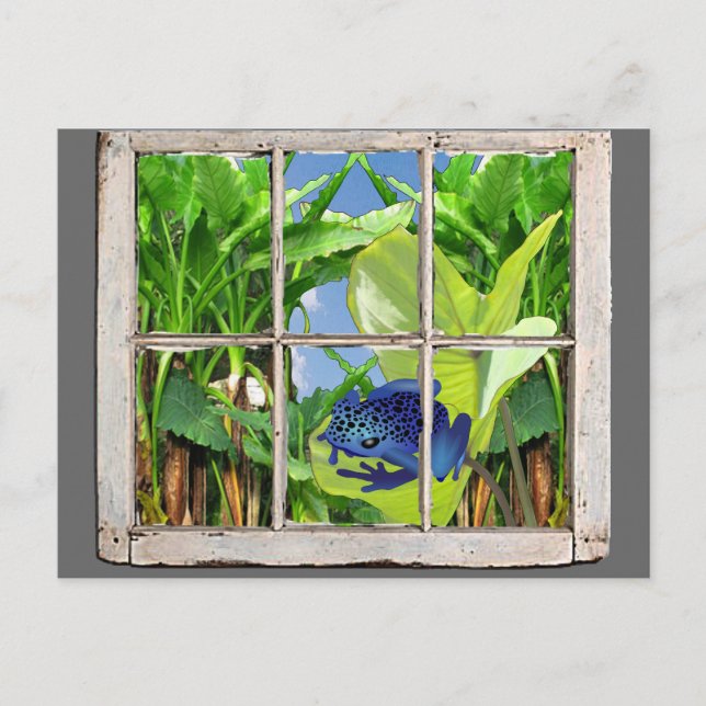 Poison Dart Frog Postcard (Front)