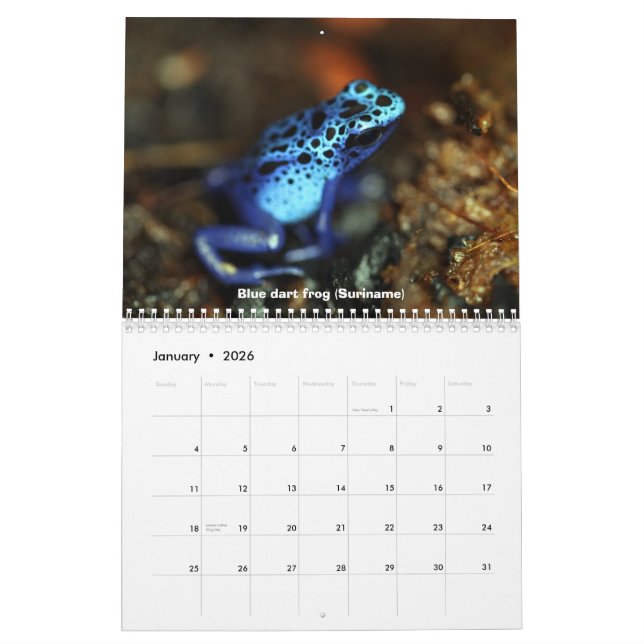 Poison dart frogs calendar (Jan 2026)