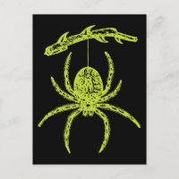 Poison Green Spider