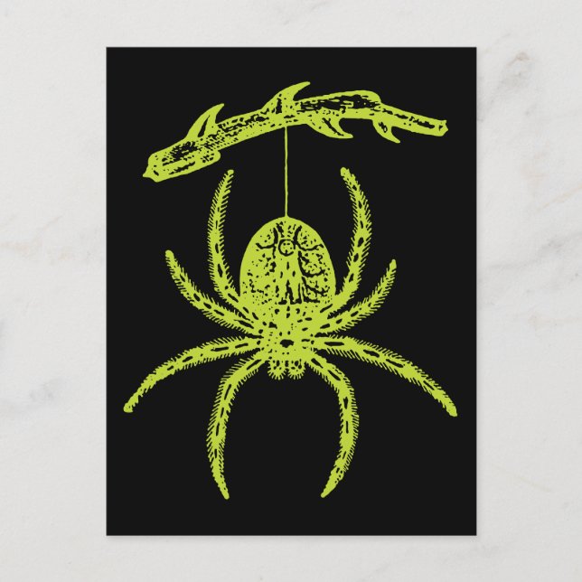 Poison Green Spider Postcard (Front)