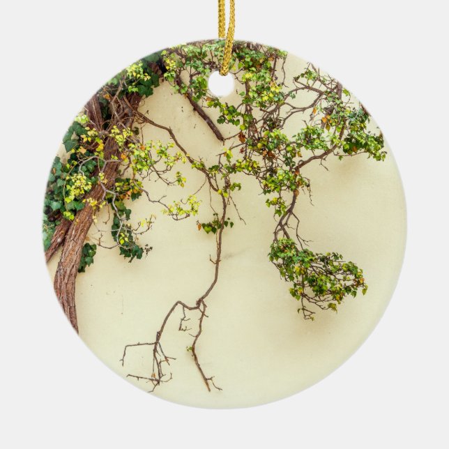 Poison Ivy On A Yellow Wall Ceramic Ornament (Front)