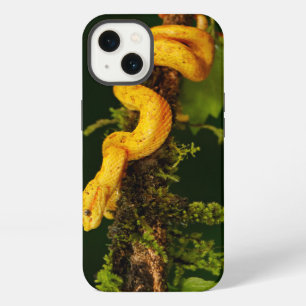 Poison Viper Snake from Costa Rica iPhone 13 Case