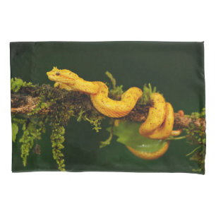 Poison Viper Snake from Costa Rica Pillowcase