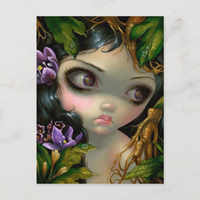 "Poisonous Beauties XIV: Mandrake Root" Postcard (Front)