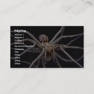 Poisonous menacing recluse spider business card