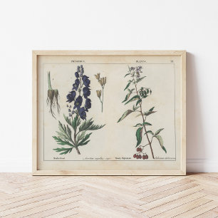 Poisonous Plants   Charlotte Mary Yonge Poster