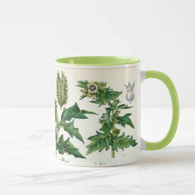 Poisonous Plants Mug (Right)