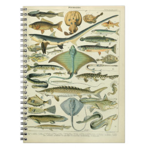 Poissons Vintage Illustration Notebook