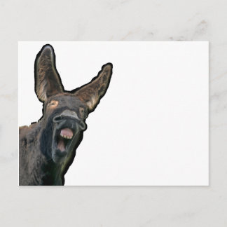 Poitou-Esel Postcard