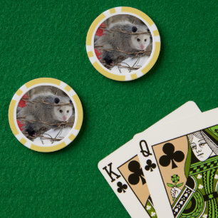 Poker Chips Opossum Nature