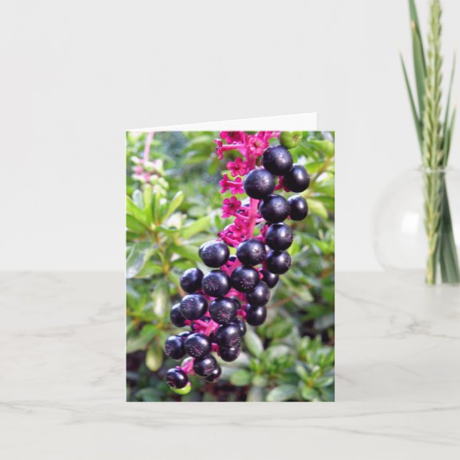 Pokeweed Note Card (Front)