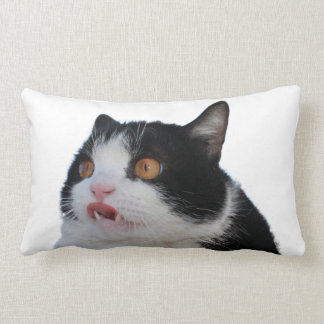 Pokey Pillow