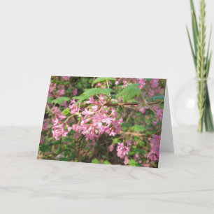Pokey's Pink in the Park Card