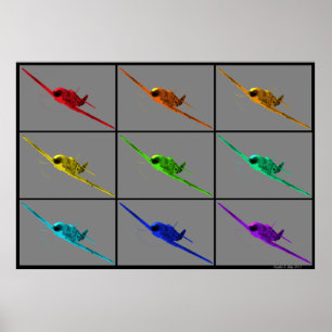 Pokryshkin's Nightmare Poster