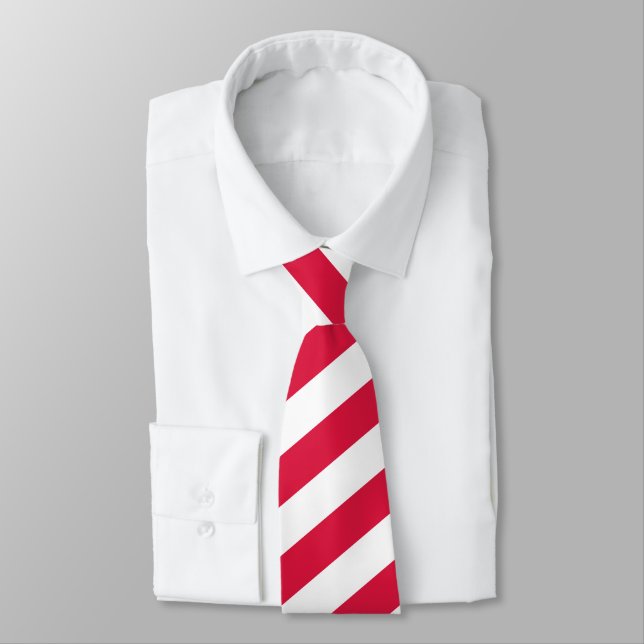 Poland Ties, fashion Polish Flag business Tie (Tied)