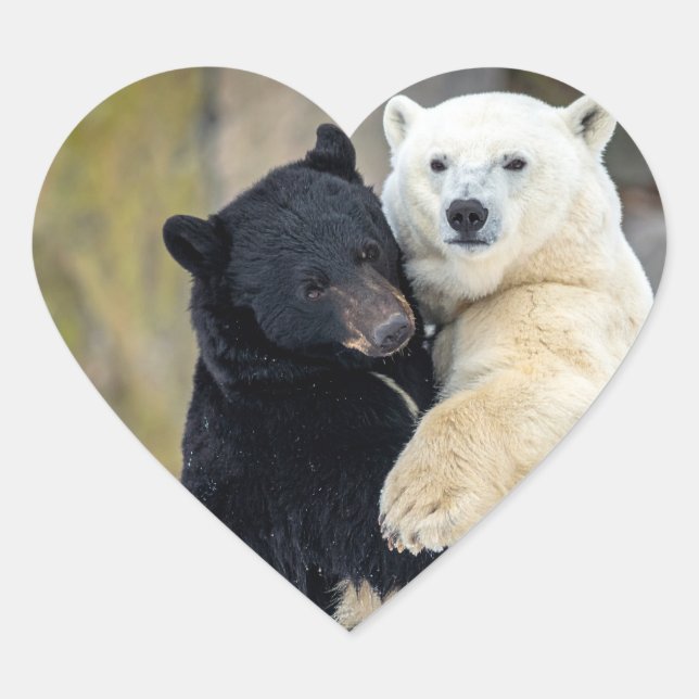 Polar and black bear heart sticker (Front)