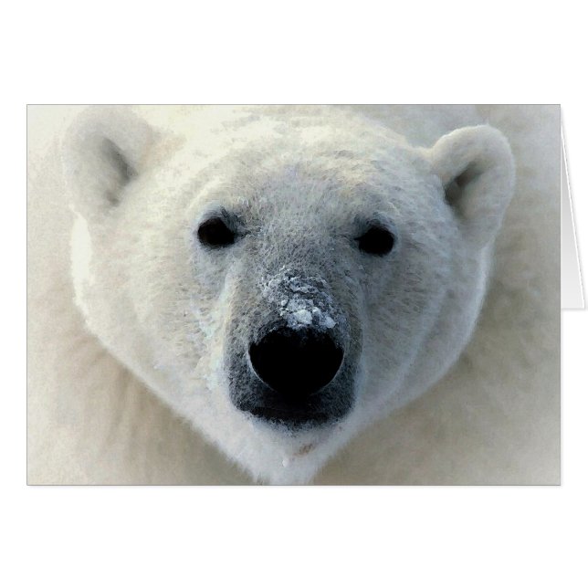 Polar Bear (Front Horizontal)