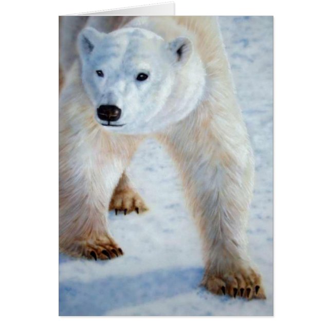 Polar Bear (Front)