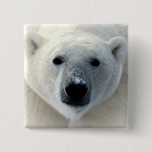 Polar Bear 15 Cm Square Badge