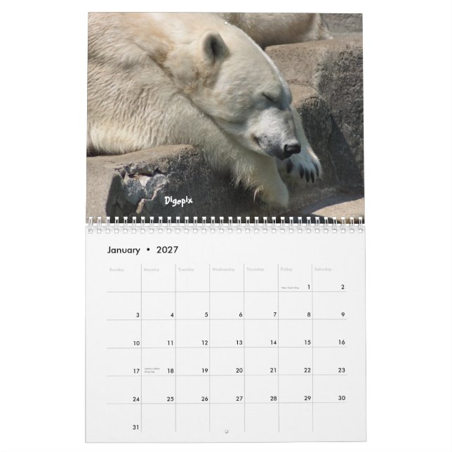 Polar Bear 2012 Calendar (Jan 2027)