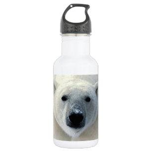Polar Bear 532 Ml Water Bottle