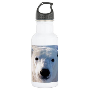 Polar Bear 532 Ml Water Bottle