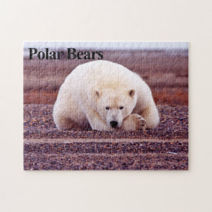 Polar Bear 7 Jigsaw Puzzle