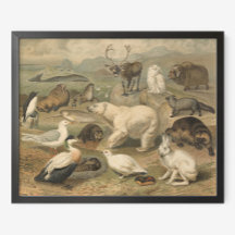 Polar Bear and Arctic Animal Friends Vintage