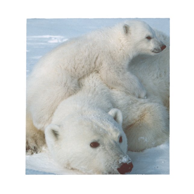 Polar Bear and Cub Wildlife Lovers Notepad (Front)