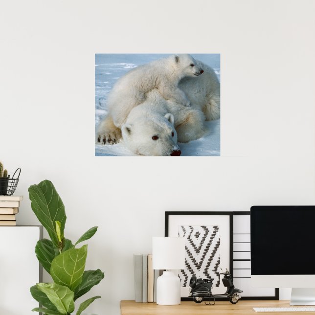 Polar Bear and Cub Wildlife Lovers Poster (Home Office)