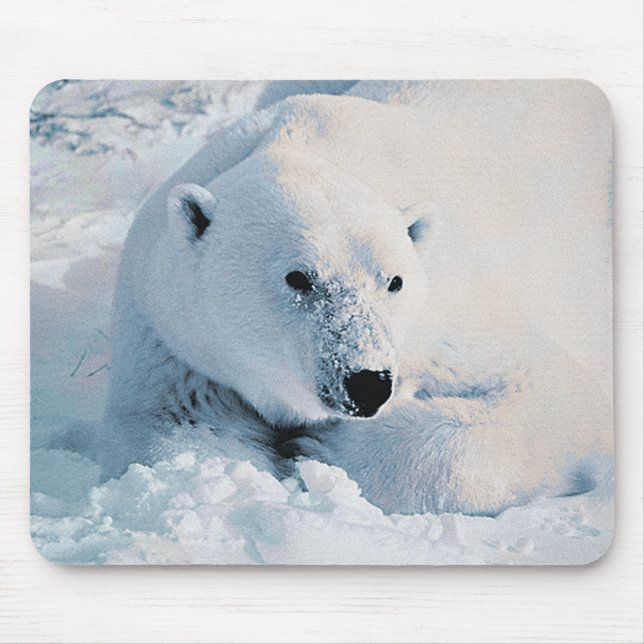 Polar Bear and Snow Mousepad (Front)
