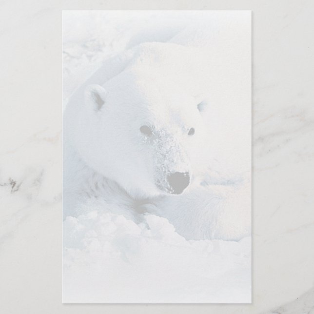 Polar Bear and Snow Stationery (Front)
