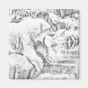 Polar bear and water magnet
