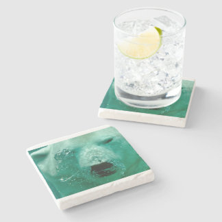 Polar Bear Animal Arctic Northern Cute Whimsical Stone Coaster
