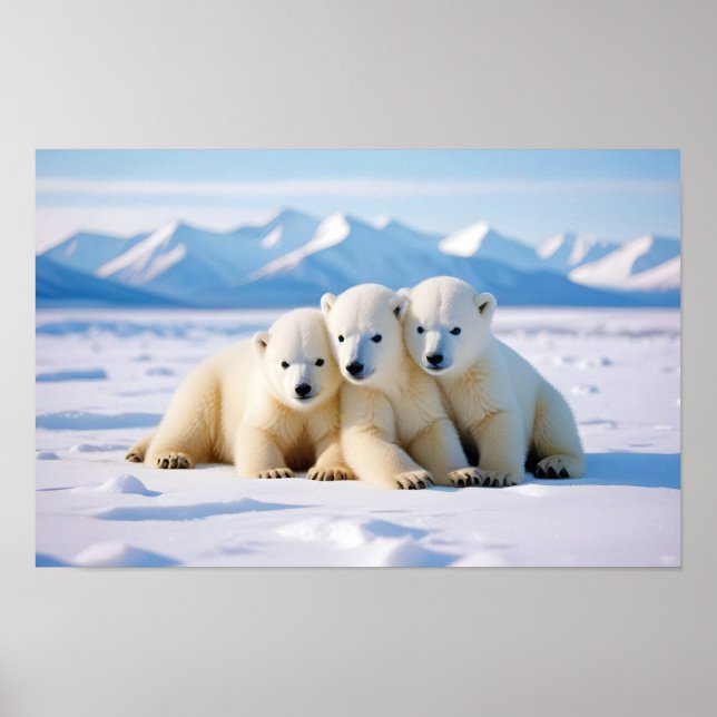 Polar Bear Animal Nature Wildlife Affection Caring Poster (Front)