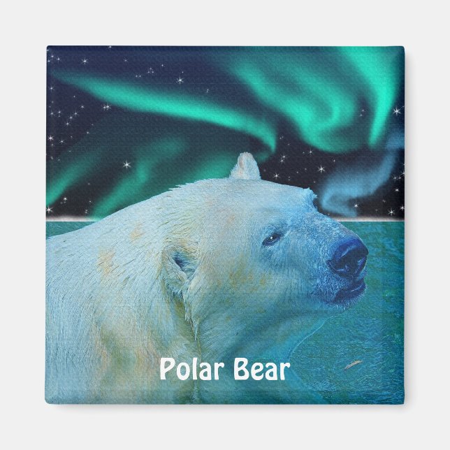 Polar Bear & Aurora Arctic Wildlife Art Magnet (Front)