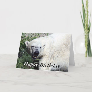 Polar Bear Birthday Card