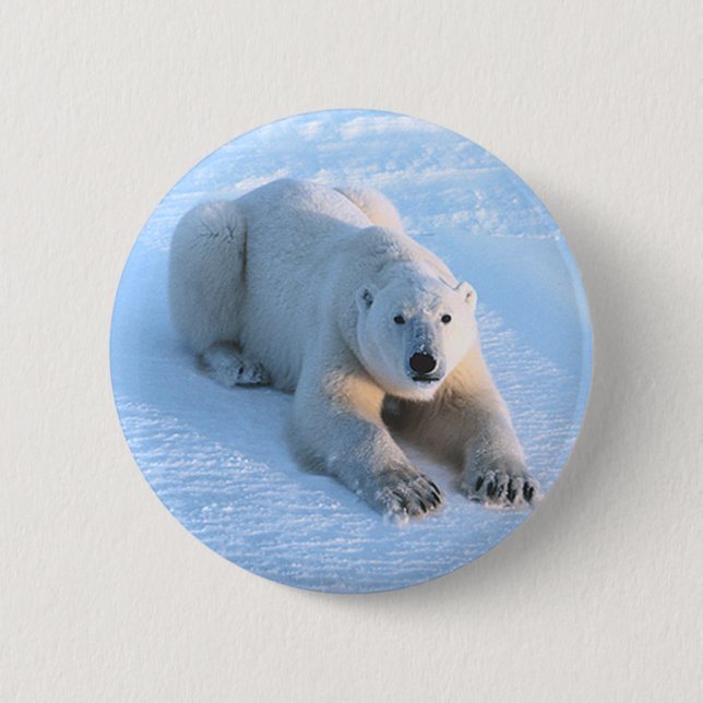 Polar Bear Blue 6 Cm Round Badge (Front)