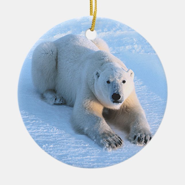 Polar Bear Blue Ceramic Ornament (Front)