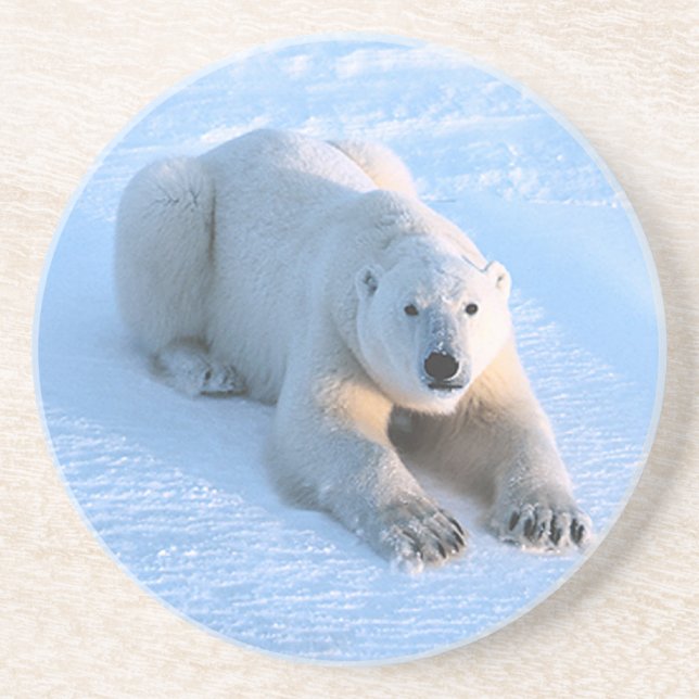 Polar Bear Blue Coaster (Front)