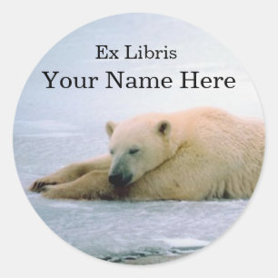Polar Bear Bookplate Sticker