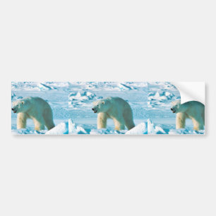 Polar Bear Bumper Sticker