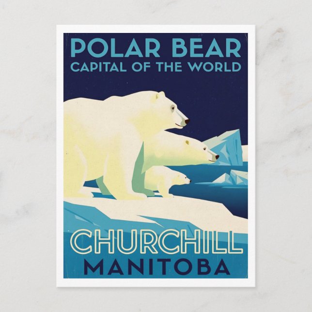 Polar Bear Capital of the World Churchill Manitoba Postcard (Front)