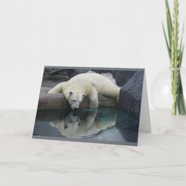 Polar Bear Cards - Reflections (Front)