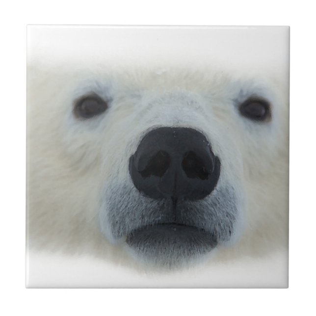 Polar Bear Ceramic Tile (Front)