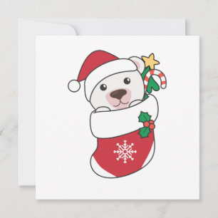 Polar Bear Christmas Snow Winter Animals Polar Invitation