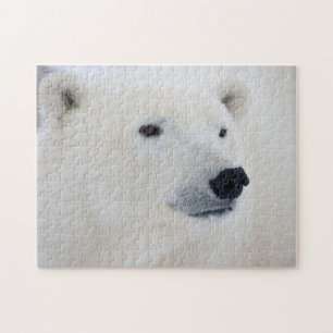 Polar Bear Churchill Jigsaw Puzzle