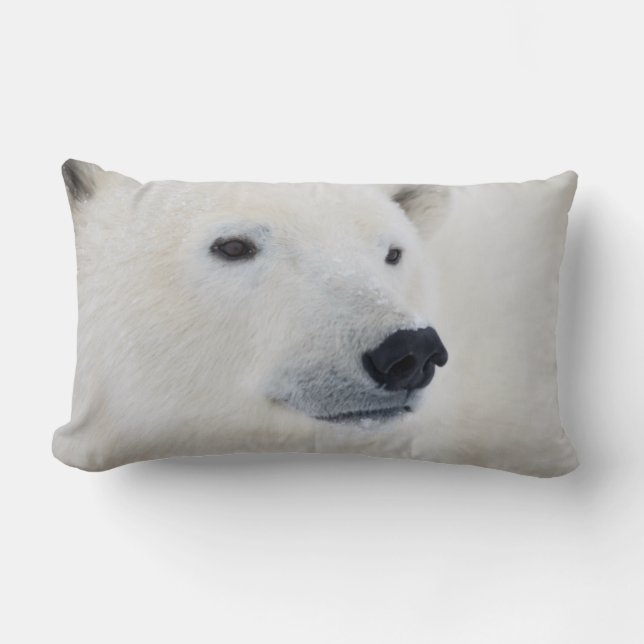 Polar Bear Churchill Lumbar Cushion (Front)