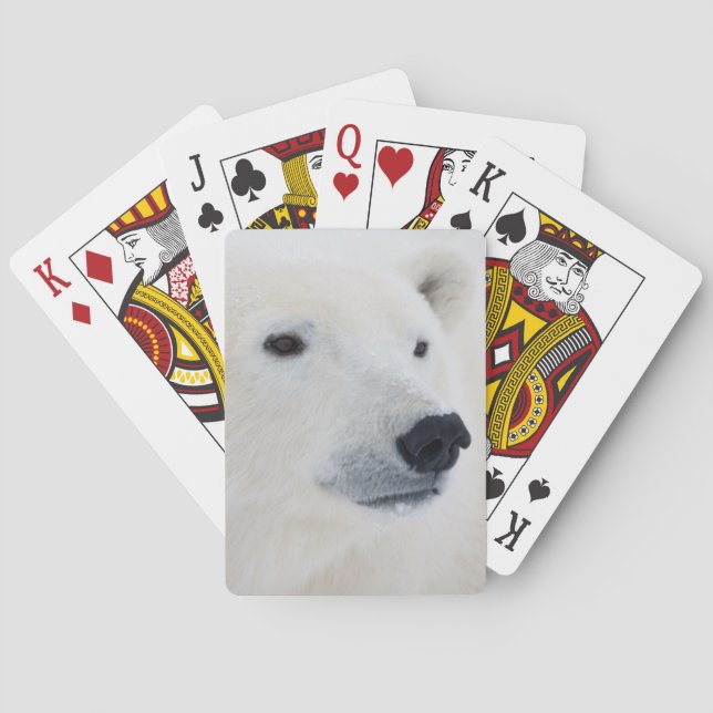 Polar Bear Churchill Playing Cards (Back)
